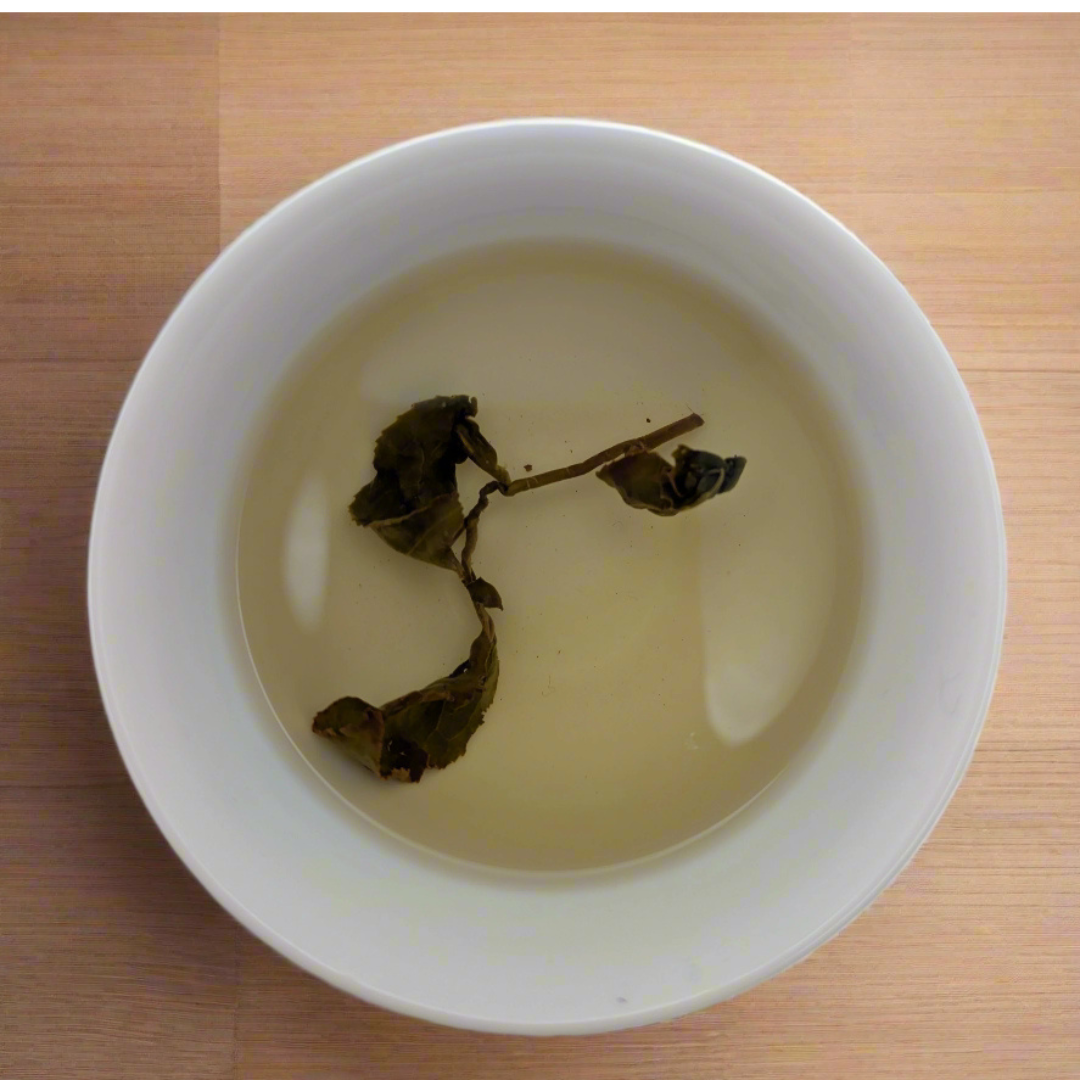 oolong tea pregnancy